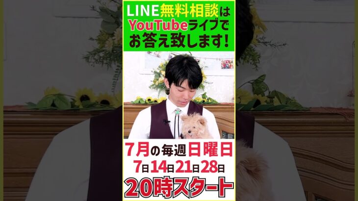 【配信告知】20時からドッグトレーナーが直接質問回答！ワンちゃんについての質問募集中！7/7.14.21.28　#告知