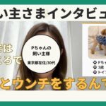 【うちの犬はわざとトイレを失敗します】飼い主様インタビュー/東京都/30代