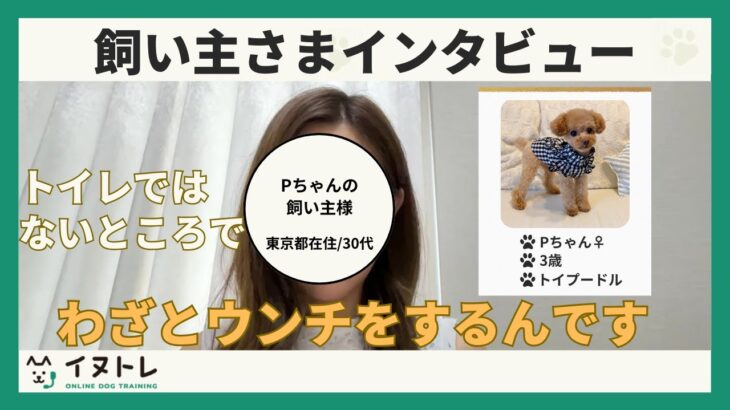 【うちの犬はわざとトイレを失敗します】飼い主様インタビュー/東京都/30代