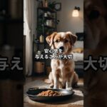 犬の夜鳴きに困っている方必見！解決のヒント5つ #犬のしつけ #柴犬 #しつけ #ペットケア #大型犬 #犬飼いたい