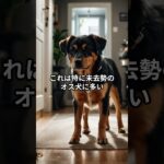 犬の粗相の原因を解明！驚きの5つの理由 #犬のしつけ #犬飼いたい #ペットケア #大型犬