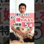 犬に嫌われる人の特徴5選#dog #犬のしつけ #犬のいる暮らし