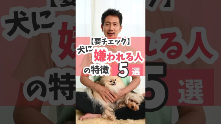 犬に嫌われる人の特徴5選#dog #犬のしつけ #犬のいる暮らし