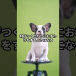 犬が飛びつく本当の理由！興味深い雑学7選 #犬のしつけ #柴犬 #しつけ #ペットケア #犬のいる生活 #犬飼いたい