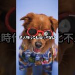 あなたの犬が恐れるものとは？7つの雑学を紹介 #犬のしつけ #柴犬 #しつけ #ペットケア #犬のいる生活 #犬飼いたい