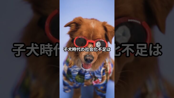 あなたの犬が恐れるものとは？7つの雑学を紹介 #犬のしつけ #柴犬 #しつけ #ペットケア #犬のいる生活 #犬飼いたい