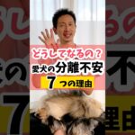 【第２弾】愛犬の分離不安7つの理由#dog #犬のしつけ #犬のいる暮らし