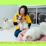 犬のしつけ教室 BONHEUR【千葉市稲毛区】