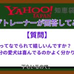 【Yahoo!知恵袋】回答してみた。犬はなでられてうれしいの？