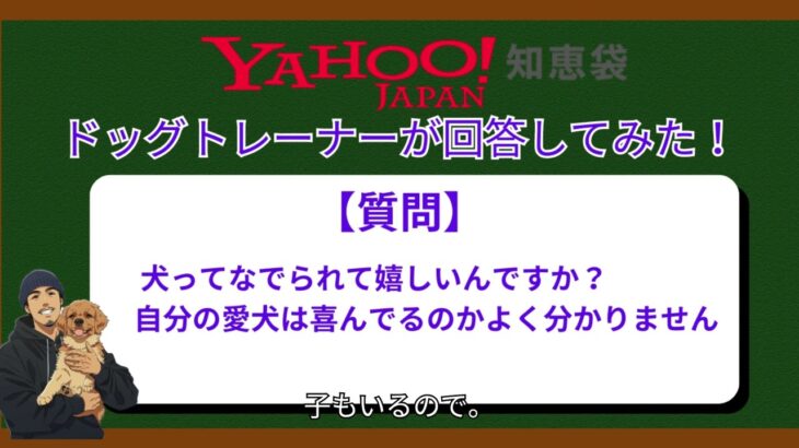 【Yahoo!知恵袋】回答してみた。犬はなでられてうれしいの？