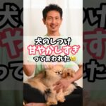 犬のしつけで「甘やかし過ぎ」って言われました…#犬のしつけ #dog #犬のいる暮らし