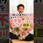 愛犬を不安にさせない触り方の極意#dog #犬のしつけ #犬のいる暮らし