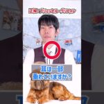 【#わんこアキネーター】アキネーターチャレンジ【ブリュッセル・グリフォン編】プロドッグトレーナーなら犬種当てられるはず！#dogshorts #dogtraining #犬のいる暮らし