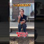 犬を叱るタイミングって？#ドッグトレーナー #イヌバーシティ #子犬育て #いぬのいるくらし #しつけ #子犬のしつけ #ドッグビヘイビアリスト #犬のいる暮らし