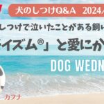 【保存版】”涙” 窮屈なしつけからの解放〜よりそイズムと愛にかえって