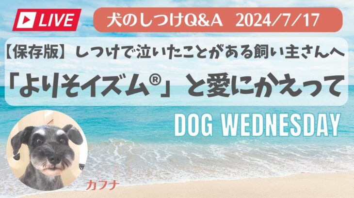 【保存版】”涙” 窮屈なしつけからの解放〜よりそイズムと愛にかえって