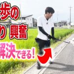 【犬しつけ】散歩のひっぱり、興奮はコレで解決できる【ドッグトレーナー解説】