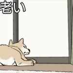 【フェルミ/アニメ/雑学】⚠涙腺崩壊⚠楽しく学ぼう！犬の生涯【切り抜き】