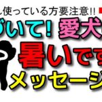 【犬 お留守番 熱中症】気づいて欲しい愛犬の暑いですメッセージと熱中症対策！犬のしつけエマチャンネル【犬のしつけ＠横浜】