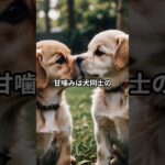 子犬の甘噛みはなぜ起こる？知られざる理由 #犬のしつけ #柴犬 #しつけ #ペットケア #ゴールデンレトリバー #犬飼いたい