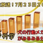 犬の行動がみるみる分かる生放送