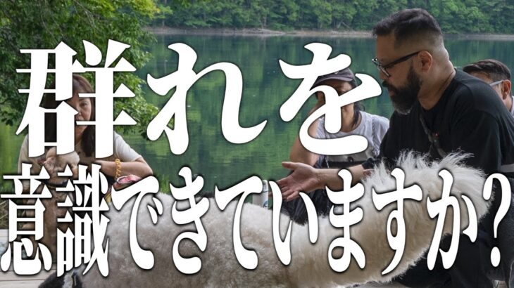 ドッグトレーニングの結果が凄すぎた！最高のコラボイベントの様子を大公開します！！！