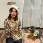 犬トリック　こんにちは　教え方　＃犬のようちえん　＃犬のほいくえん　＃犬お泊りトレーニング　　#子犬しつけ  #しつけ教室 　 ＃犬のしつけ　　#パピートレーニング