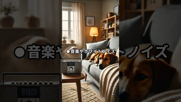 犬の分離不安を克服！効果的な慣らし訓練の方法#分離不安#犬の訓練#ペットケア#ペットの健康