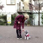 ついてとまての応用　＃犬のようちえん　＃犬のほいくえん　＃犬お泊りトレーニング　#子犬しつけ  #しつけ教室  ＃犬のしつけ　#パピートレーニング　＃お散歩トレーニング