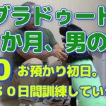 ラブラドゥードル　仔犬　しつけでお預かり初日　＃0