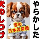 そのしつけ古い！日本人が昔やらかした犬のしつけ10選