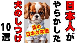 そのしつけ古い！日本人が昔やらかした犬のしつけ10選