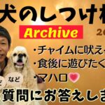 犬のしつけ相談ライブ☆ゲリラライブ【アーカイブ 2024/08/02】