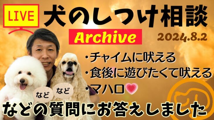 犬のしつけ相談ライブ☆ゲリラライブ【アーカイブ 2024/08/02】