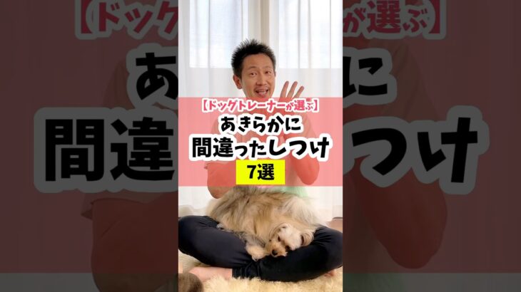 【ドッグトレーナーが選ぶ】明らかに間違ったしつけ7選#犬のしつけ #犬のいる暮らし #dog