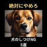 【絶対にやめろ】犬のしつけTOP5#雑学 #動物雑学 #犬