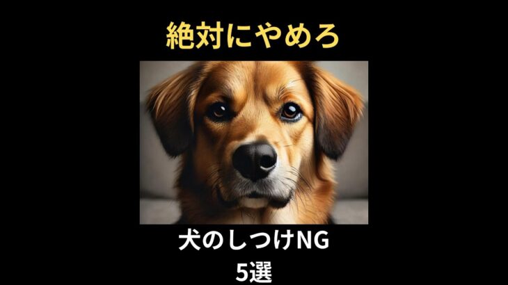 【絶対にやめろ】犬のしつけTOP5#雑学 #動物雑学 #犬