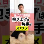 【目からウロコ】抱き上げは片手がオススメ#dog #犬のいる暮らし #犬のしつけ