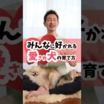 みんなに好かれる、愛され犬の育て方#dog #犬のしつけ #犬のいる暮らし