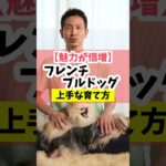 【魅力が倍増】フレンチブルドッグの上手な育て方#dog#犬のしつけ#犬のいる暮らし