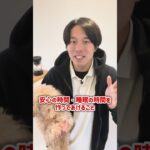 【犬飼育】愛犬の寝不足に注意【プロドッグトレーナー】