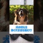 犬を吠えなくするしつけの方法 #犬