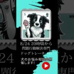 本日２０時から犬のしつけ相談会開催！