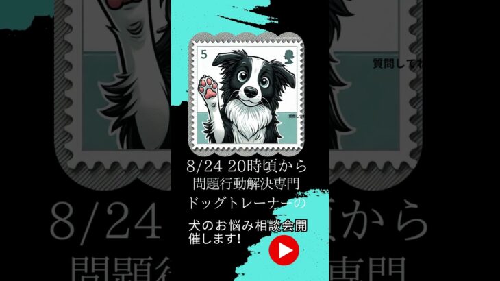 本日２０時から犬のしつけ相談会開催！