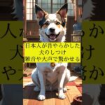 日本人が昔やらかした犬のしつけ 雑音や大声で驚かせる #犬の雑学 #犬の豆知識 #犬のいる生活 #犬飼いたい #犬 #犬の歴史