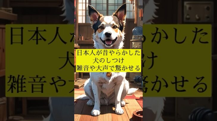 日本人が昔やらかした犬のしつけ 雑音や大声で驚かせる #犬の雑学 #犬の豆知識 #犬のいる生活 #犬飼いたい #犬 #犬の歴史