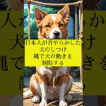 日本人が昔やらかした犬のしつけ 縄で犬の動きを制限する #犬の雑学 #犬の豆知識 #犬のいる生活 #犬飼いたい #犬 #犬の歴史