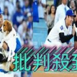 ドッグトレピン – 楽しく学べる犬のしつけとトレーニング法！