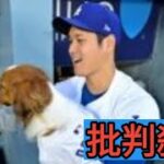 ロバーツ監督「ショックだった（笑）」　大谷翔平が犬のしつけもできることに衝撃　前夜デコピンが“始球式”