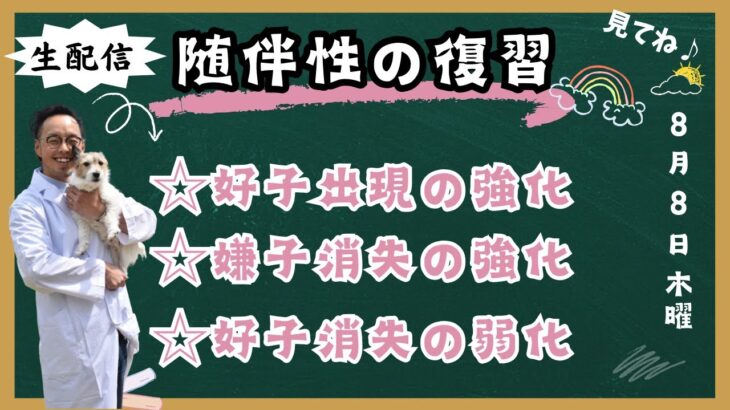 犬の行動を丸裸にする「随伴性」の復習